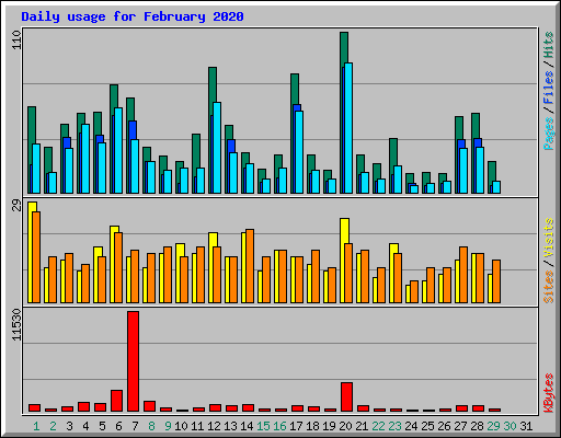 Daily usage for February 2020