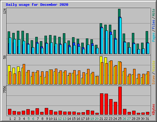 Daily usage for December 2020