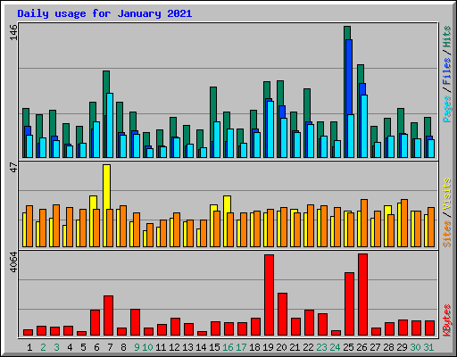 Daily usage for January 2021