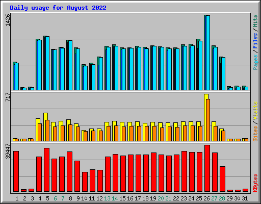 Daily usage for August 2022