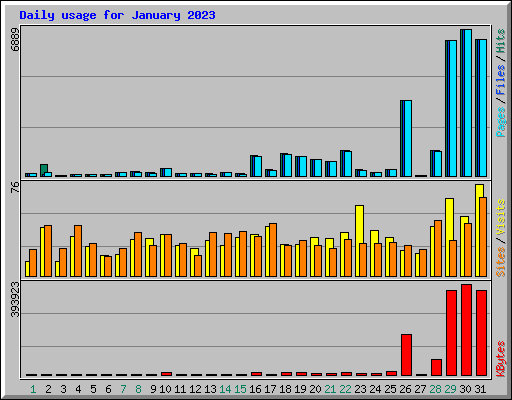 Daily usage for January 2023