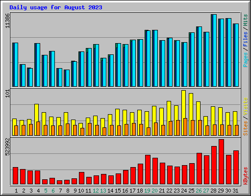 Daily usage for August 2023