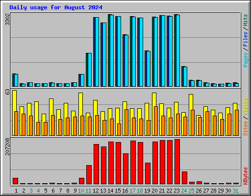 Daily usage for August 2024