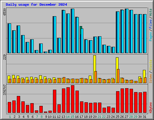 Daily usage for December 2024