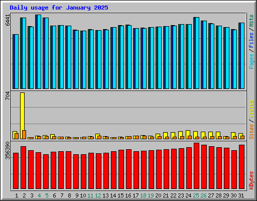 Daily usage for January 2025