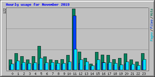 Hourly usage for November 2019