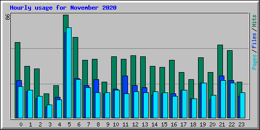 Hourly usage for November 2020