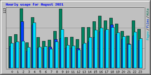Hourly usage for August 2021