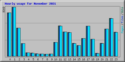 Hourly usage for November 2021
