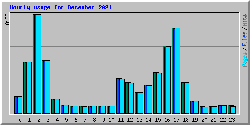 Hourly usage for December 2021