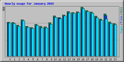 Hourly usage for January 2022