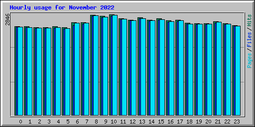 Hourly usage for November 2022