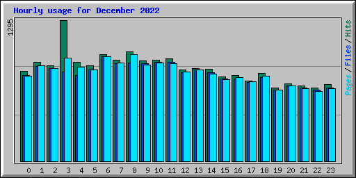 Hourly usage for December 2022