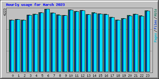 Hourly usage for March 2023