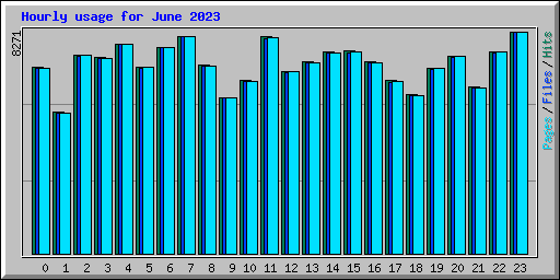 Hourly usage for June 2023