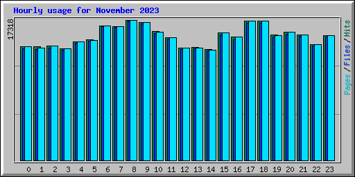 Hourly usage for November 2023