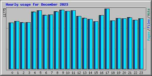 Hourly usage for December 2023