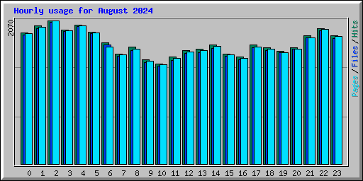 Hourly usage for August 2024
