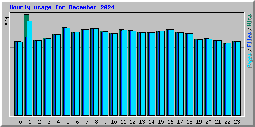 Hourly usage for December 2024