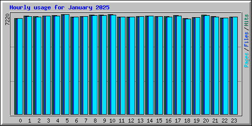 Hourly usage for January 2025