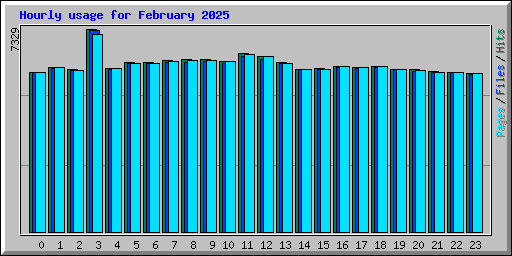 Hourly usage for February 2025