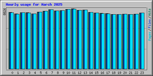Hourly usage for March 2025