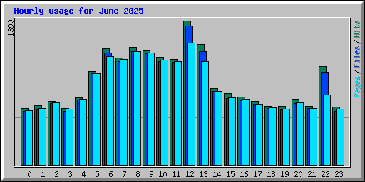 Hourly usage for June 2025