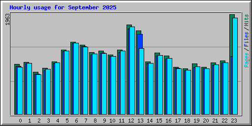 Hourly usage for September 2025