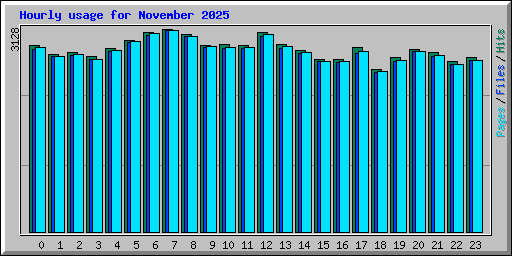 Hourly usage for November 2025