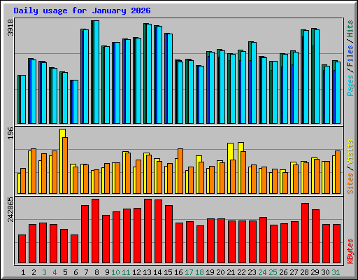 Daily usage for January 2026