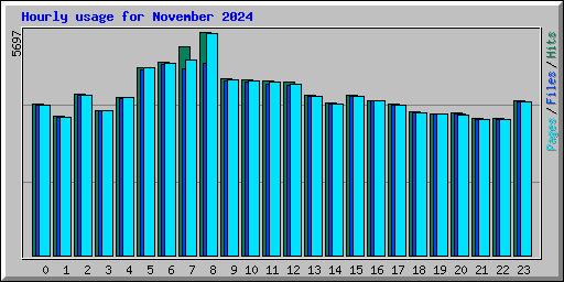 Hourly usage for November 2024