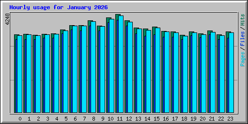 Hourly usage for January 2026